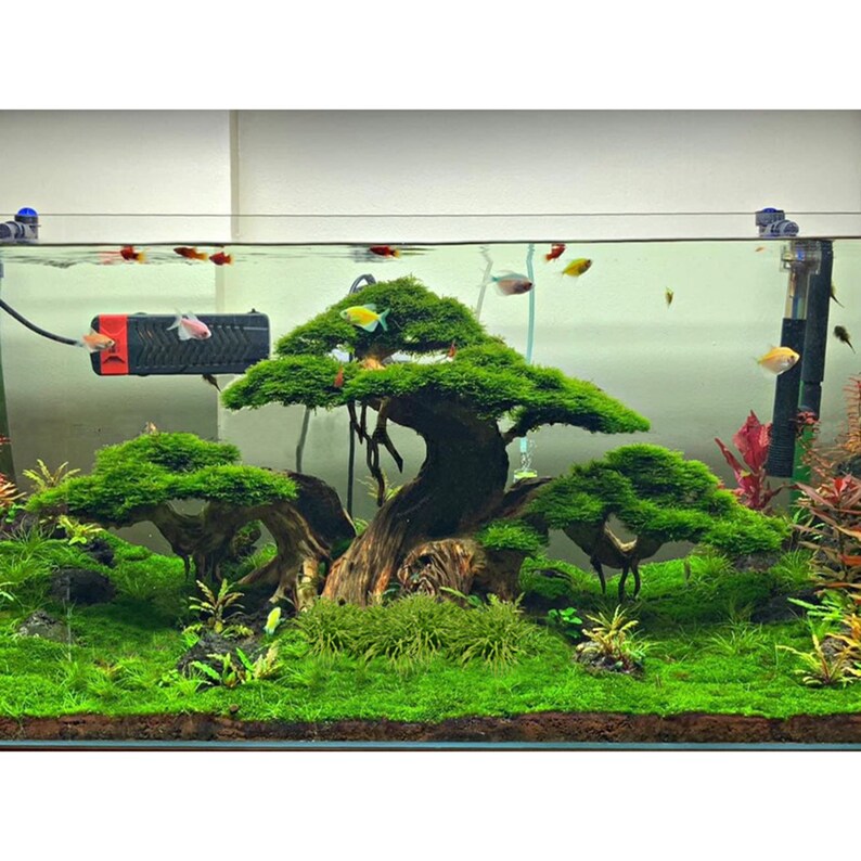 Aquarium Driftwood Extra Large Driftwood Aquarium Bonsai Etsy