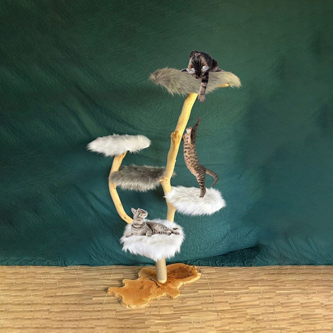 Driftwood Cat Tree Tower Large Cat Unique Natural Wood Tree Branch