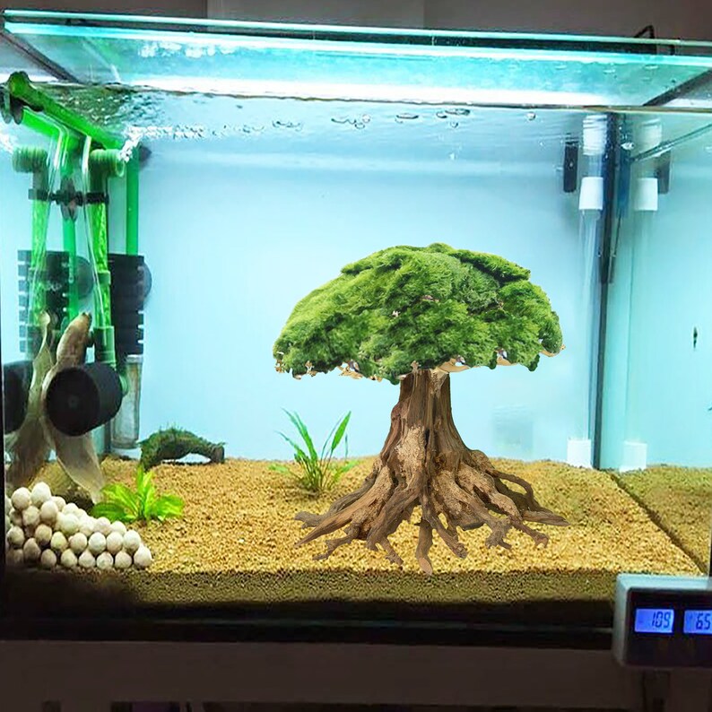 Drift Wood Aquarium Aquascape Bonsai Driftwood Tree Fish Tank - Etsy