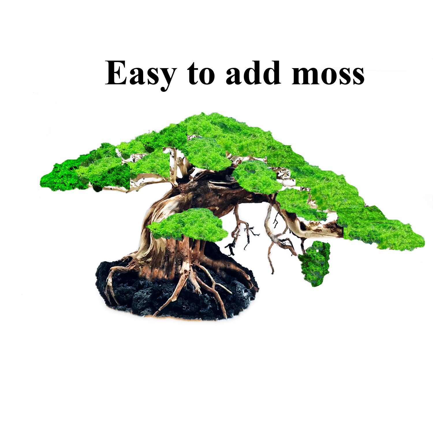 Bonsai Driftwood Tree Decoration for Aquariums Shrimp Fish Etsy