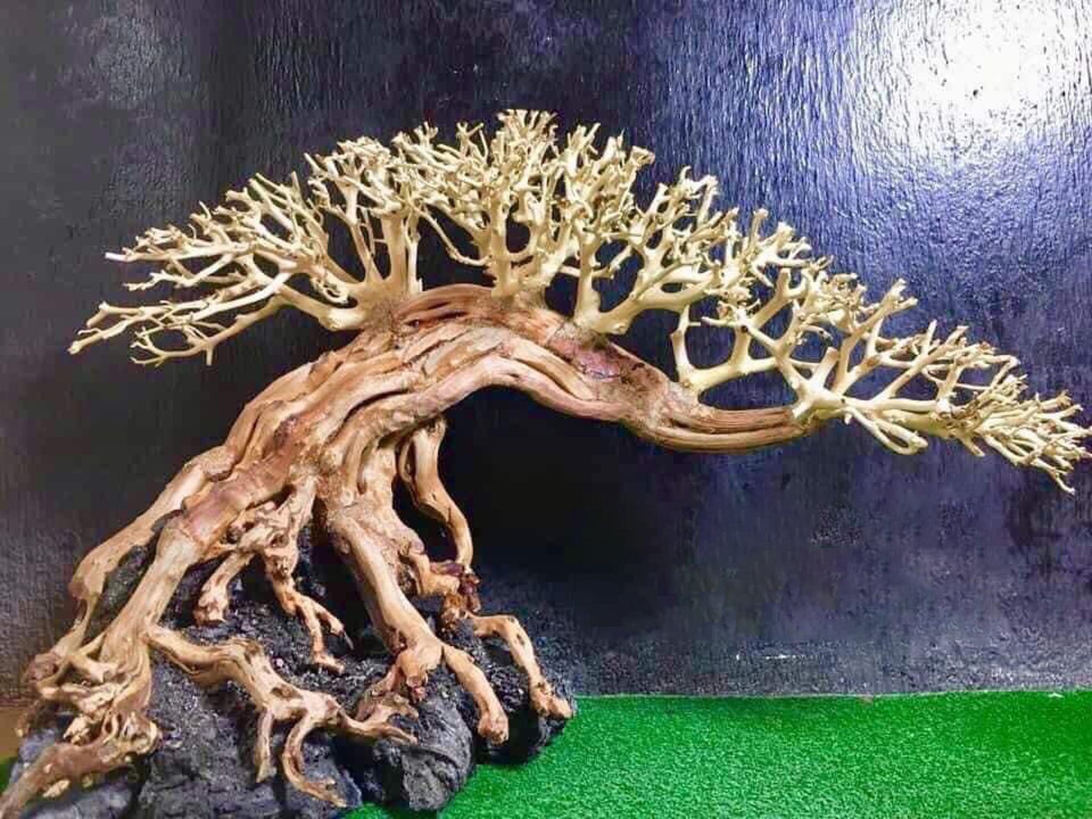 Aquarium Driftwood Bonsai Driftwood Aquarium Bonsai Tree Etsy
