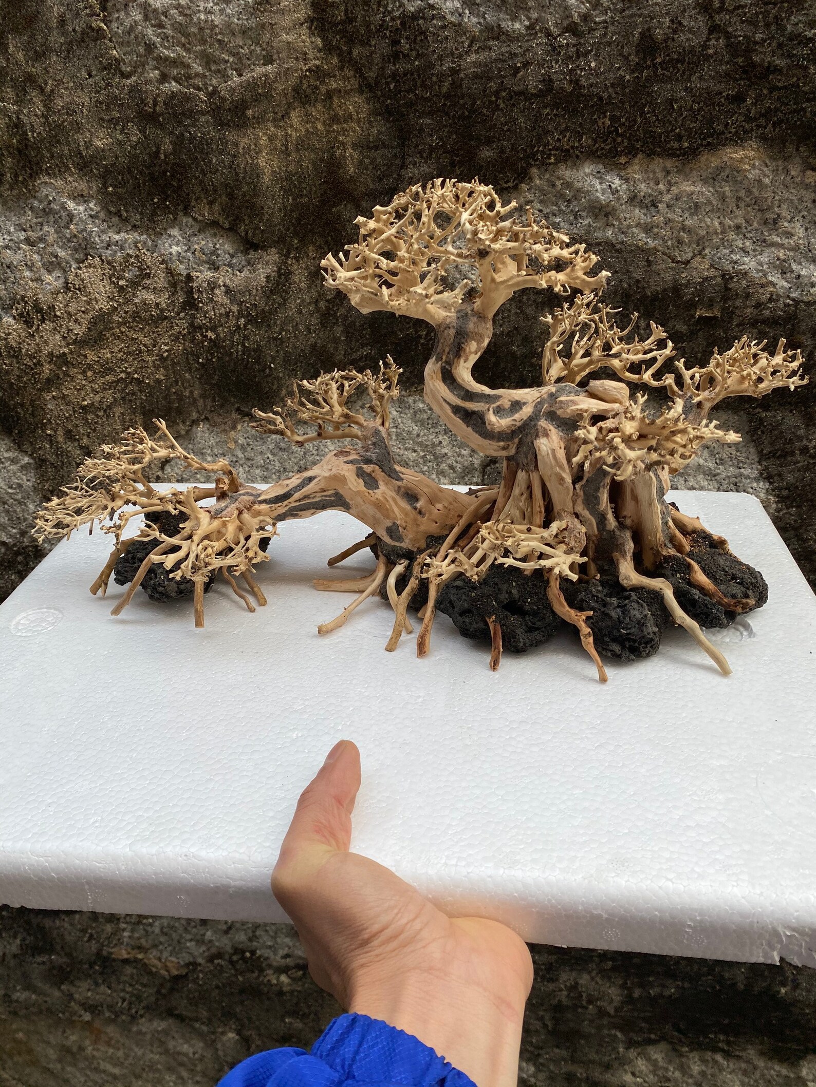 AQUARIUM BONSAI TREE Fish Tank Decor Aquarium Bonsai Etsy