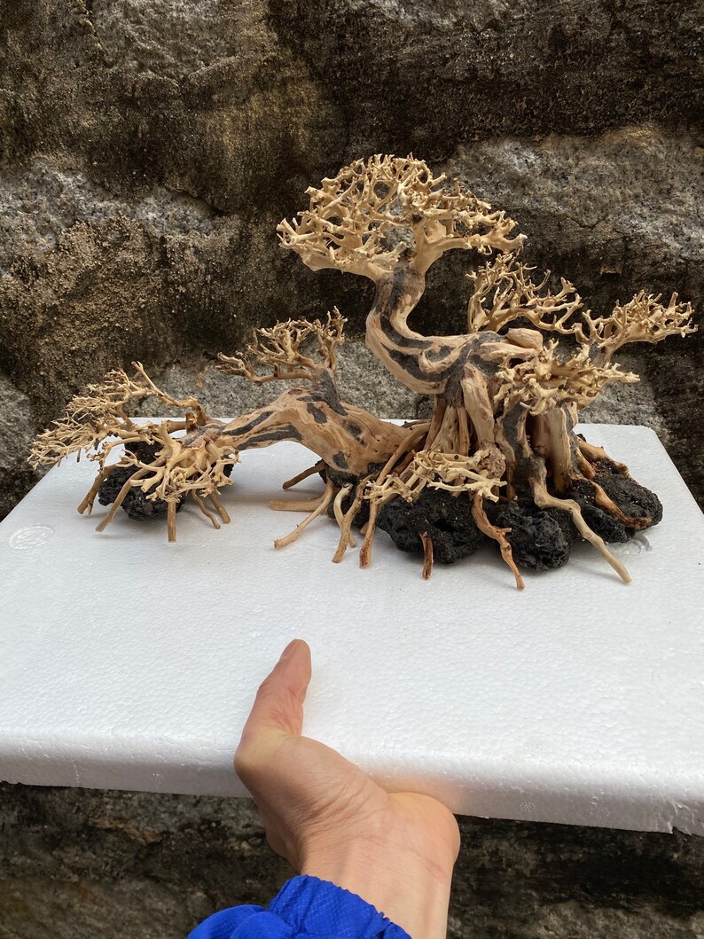 AQUARIUM BONSAI TREE Fish Tank Decor Aquarium Bonsai Etsy