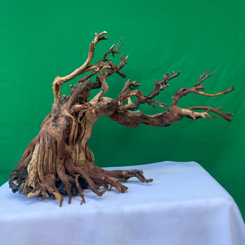 Aquarium Driftwood Bonsai Aquascaping Wood Aquascape Hardscape Etsy