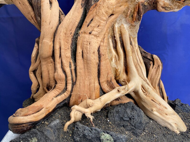 Aquarium Driftwood Extra Large Driftwood Aquarium Bonsai Etsy