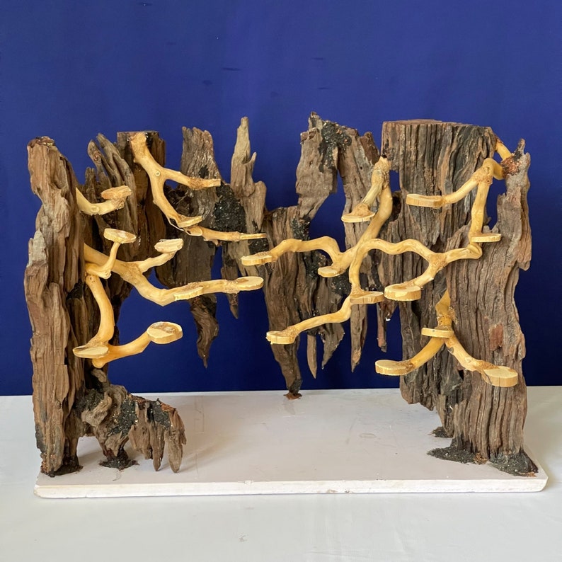 Bonsai Aquarium Driftwood Large Aquascape Drift Wood Hardscape Etsy