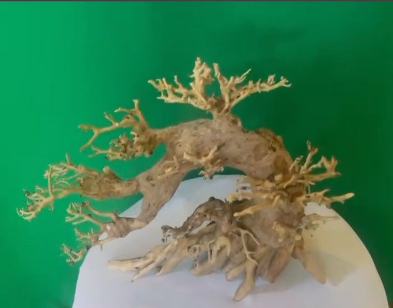 Drift Wood Bonsai Aquarium Plants Aquascaping Wood Fish Tank Etsy