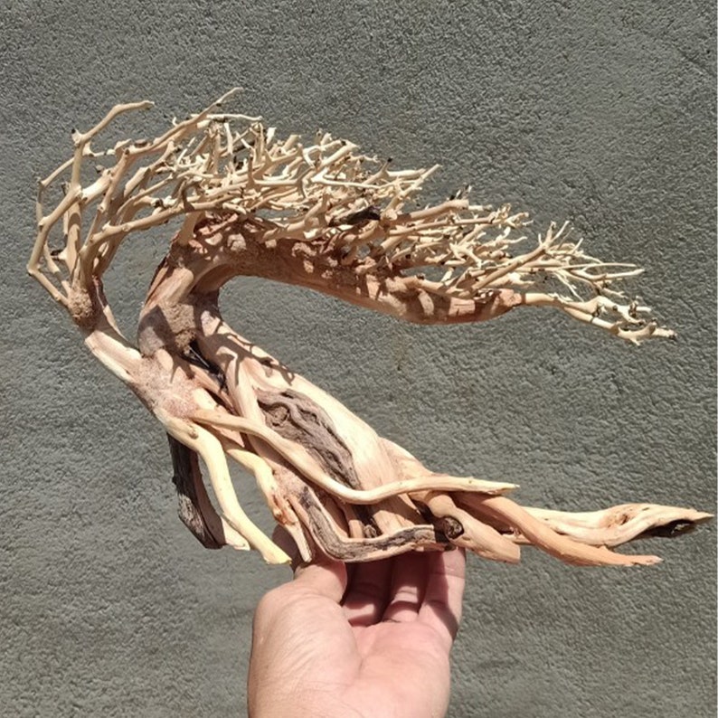 Bonsai Driftwood Aquarium Tree Aquascaping Wood Fish Tank Etsy