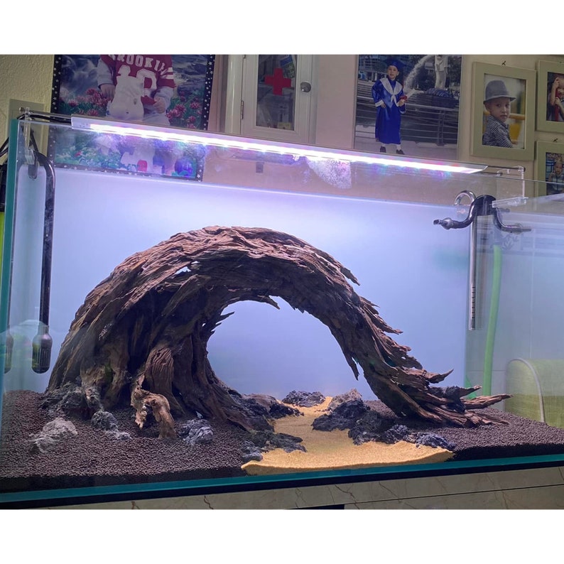 Aquascape Driftwood Aquarium Wood Real Drift Wood for Fish Etsy UK