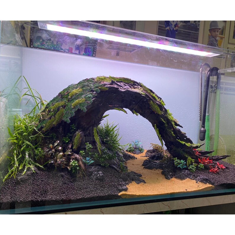 Aquascape Driftwood Aquarium Wood Real Drift Wood for Fish Etsy