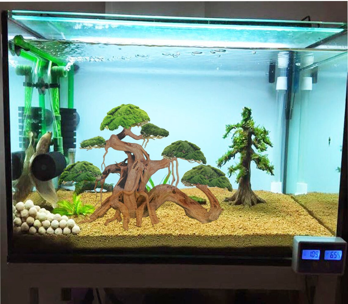 Aquarium Bonsai Tree Aquascape Large Driftwood for Aquarium Etsy