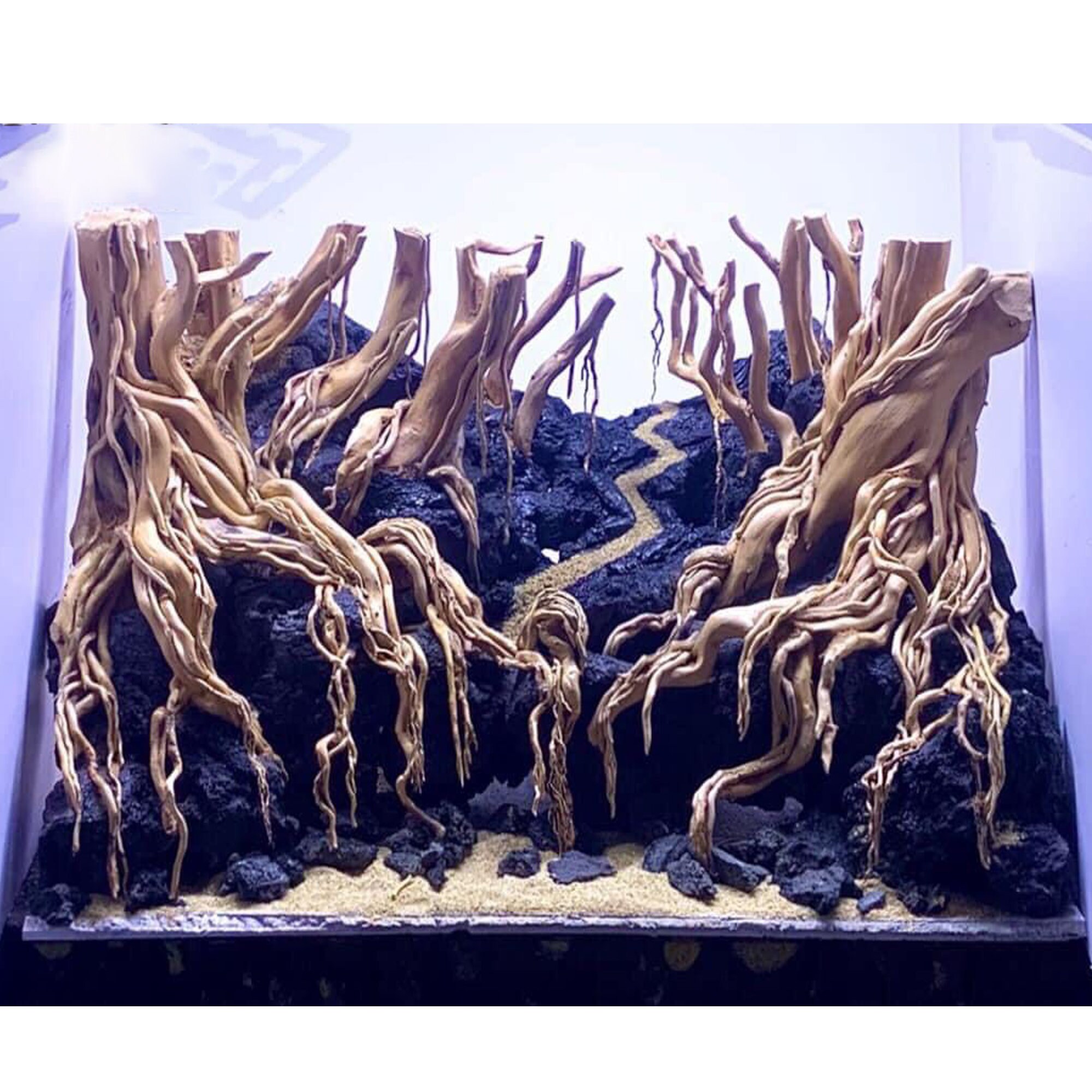 Aquascape Wood Aquarium Driftwood Driftwood Aquarium Plants Etsy