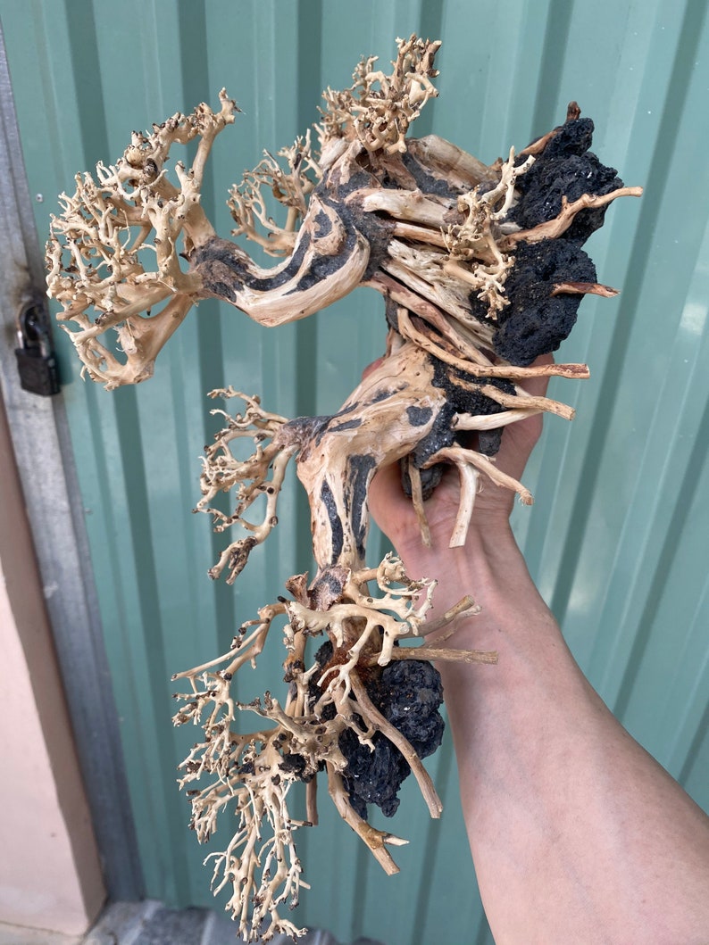 AQUARIUM BONSAI TREE Fish Tank Decor Aquarium Bonsai Etsy