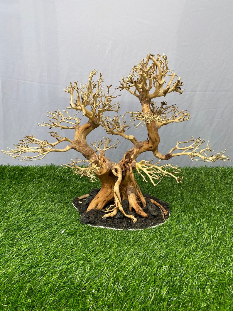 Aquarium Driftwood Bonsai Tree Driftwood Tree for Aquarium Etsy