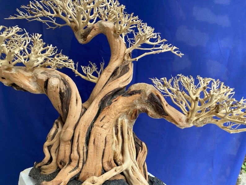 Aquarium Driftwood Extra Large Driftwood Aquarium Bonsai Etsy