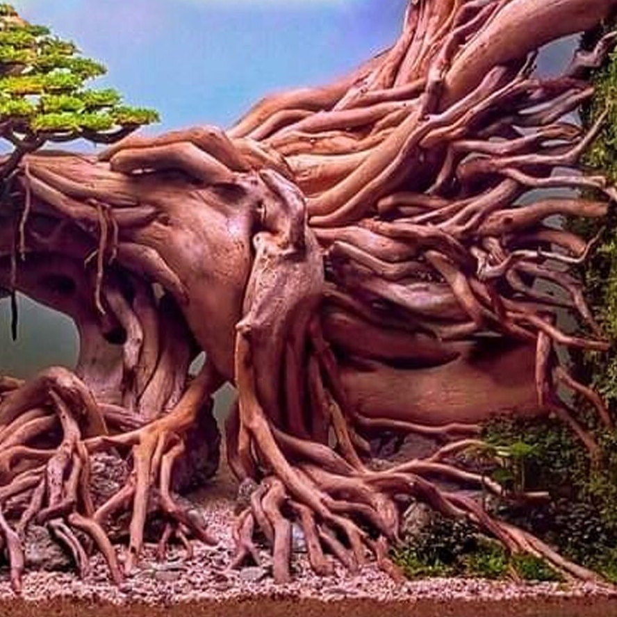 Aquarium Driftwood Large Bonsai Aquascape Drift Wood Tree Fish Etsy