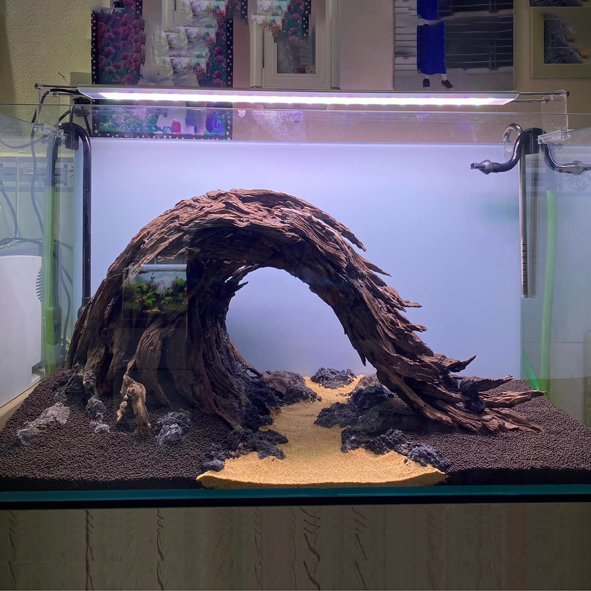 Driftwood Aquarium Furniture at Cedric Ness blog