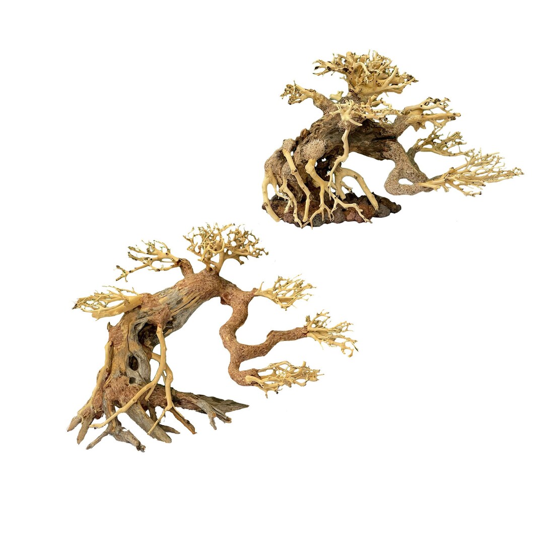 Aquarium Bonsai Driftwood Tree Handmade Drift Wood Aquascape Etsy