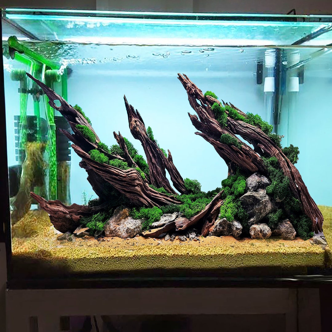 Aquarium Driftwood Large Rock Cave Hideout Bonsai Plants Fish Tank Decorations Etsy
