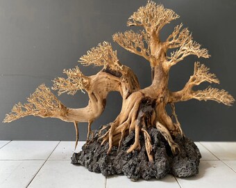 Drift wood bonsai tree aquarium driftwood aquascaping plants fish tank decorations