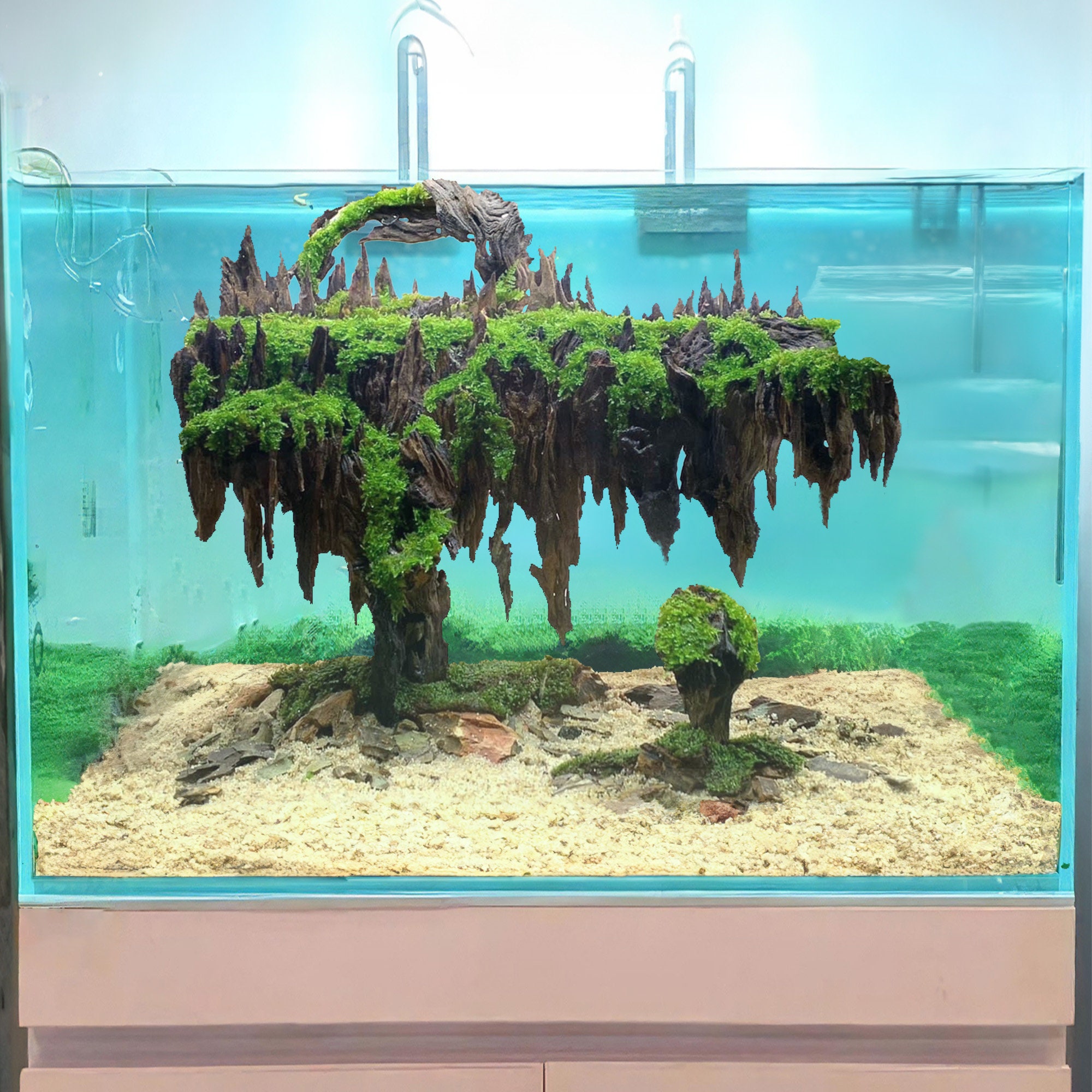 Aquascaping supplies shop usa