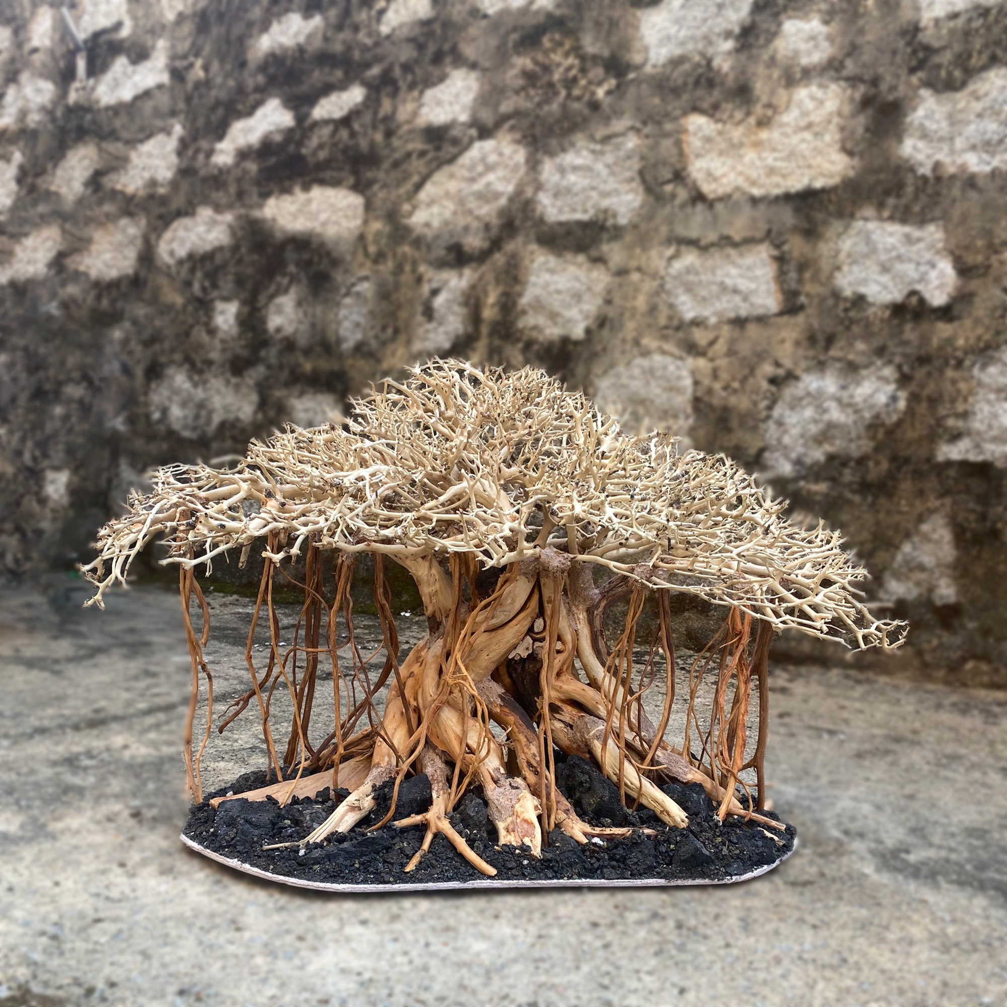 Aquarium driftwood drift wood aquarium aquascape aquarium Etsy