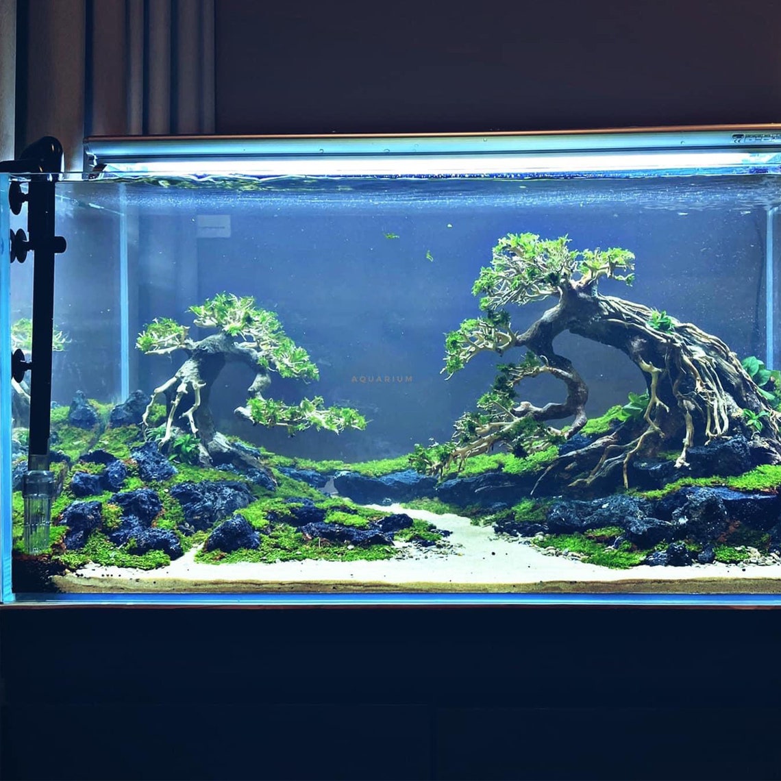 Aquarium Driftwood Tree Bonsai Driftwood for Aquarium Etsy