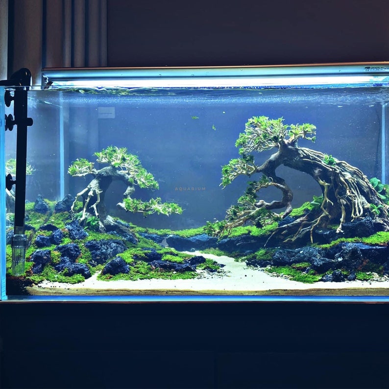 Aquarium Driftwood Tree Bonsai Driftwood for Aquarium Etsy