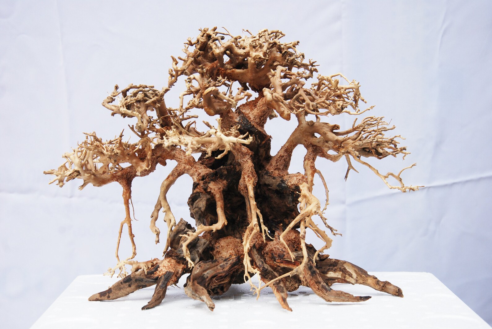 Aquarium Driftwood Extra Large Aquarium Plants Driftwood Etsy