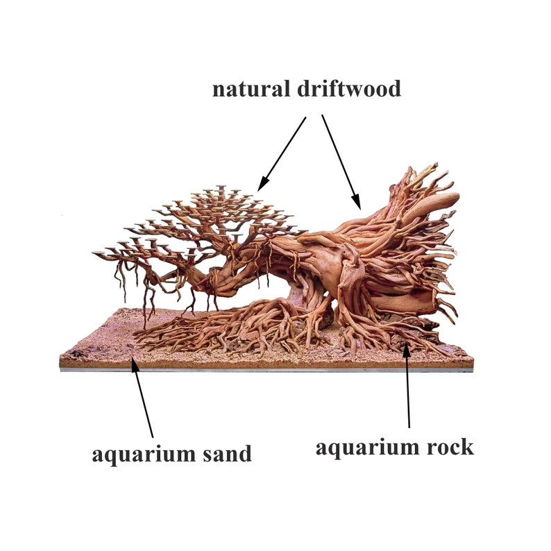 Aquarium Driftwood Large Bonsai Aquascape Drift Wood Tree Fish Etsy