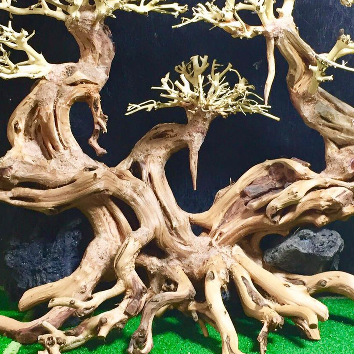 Aquarium driftwood bonsai driftwood Aquarium driftwood extra Etsy