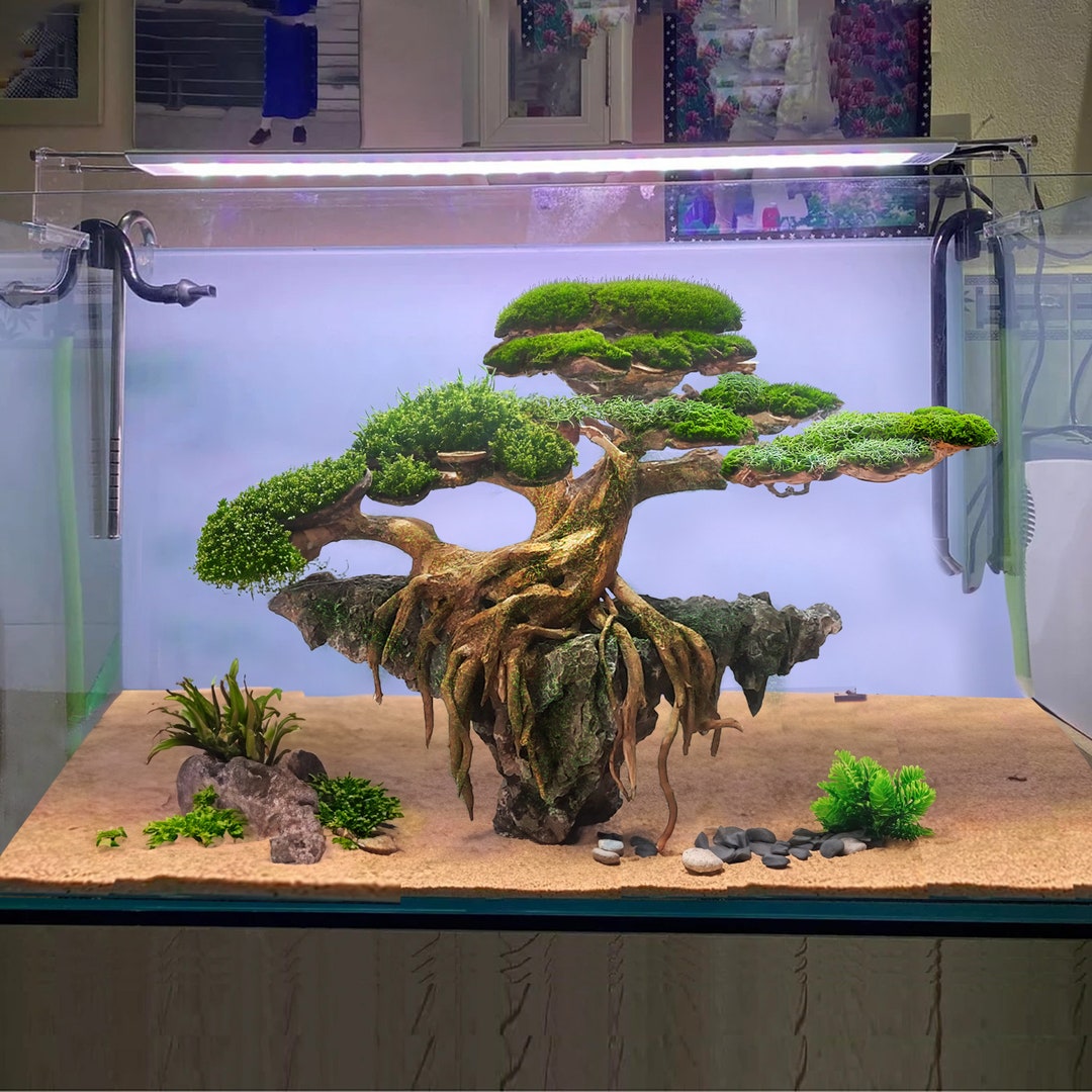 Bonsai Driftwood Aquarium Aquascape Wood Bonzai Wood Hardscape Fish ...