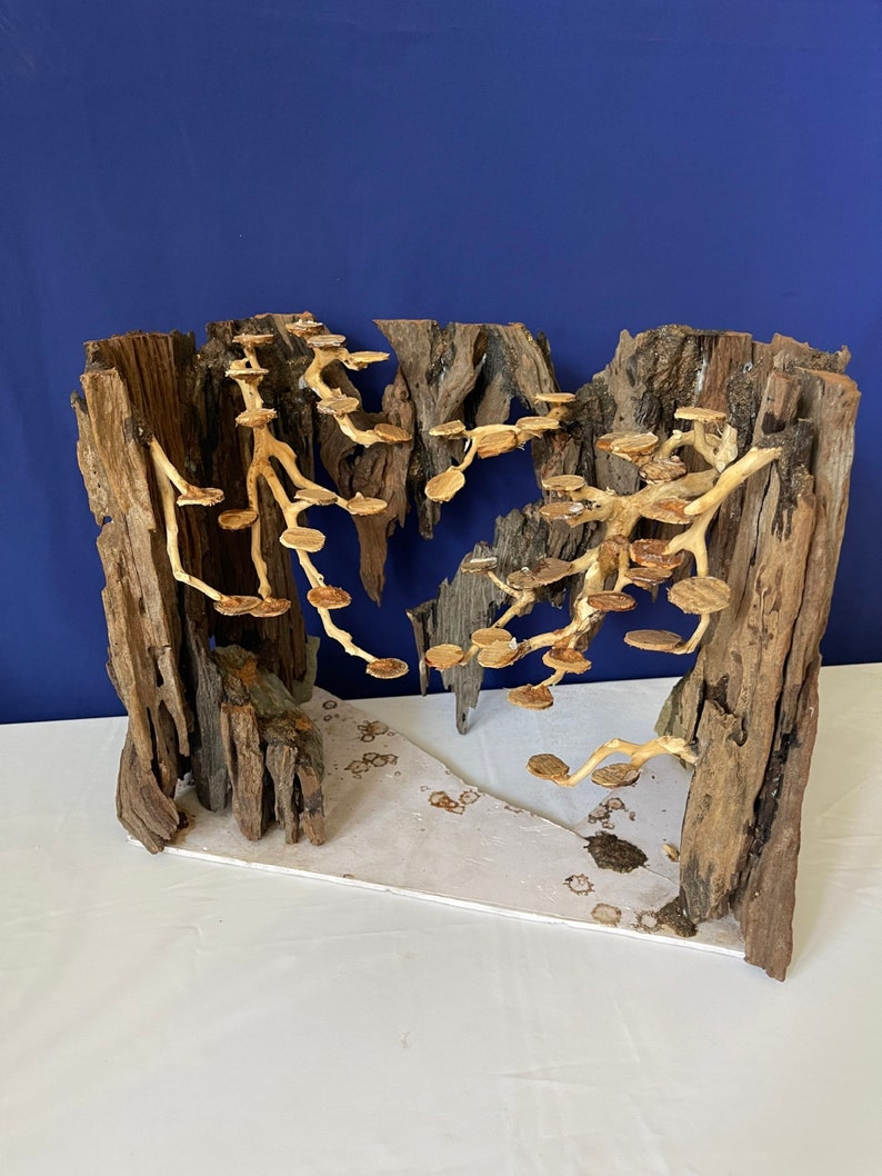 Bonsai Aquarium Driftwood Large Aquascape Drift Wood Hardscape Etsy