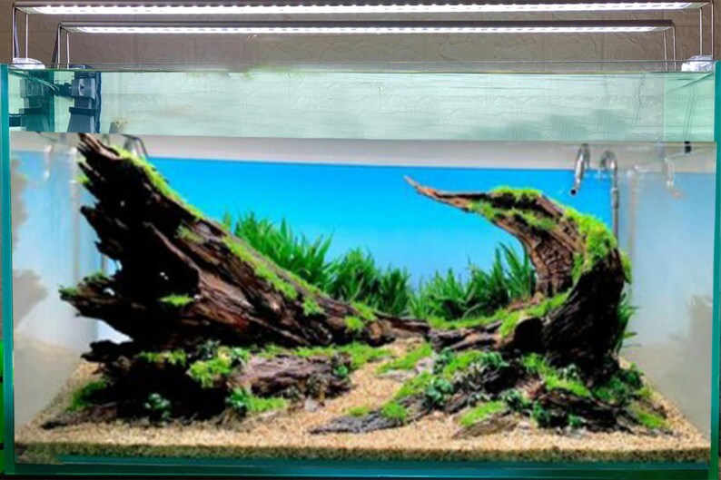 Aquascaping Driftwood Aquarium Plants Fish Tank Decor Large Etsy