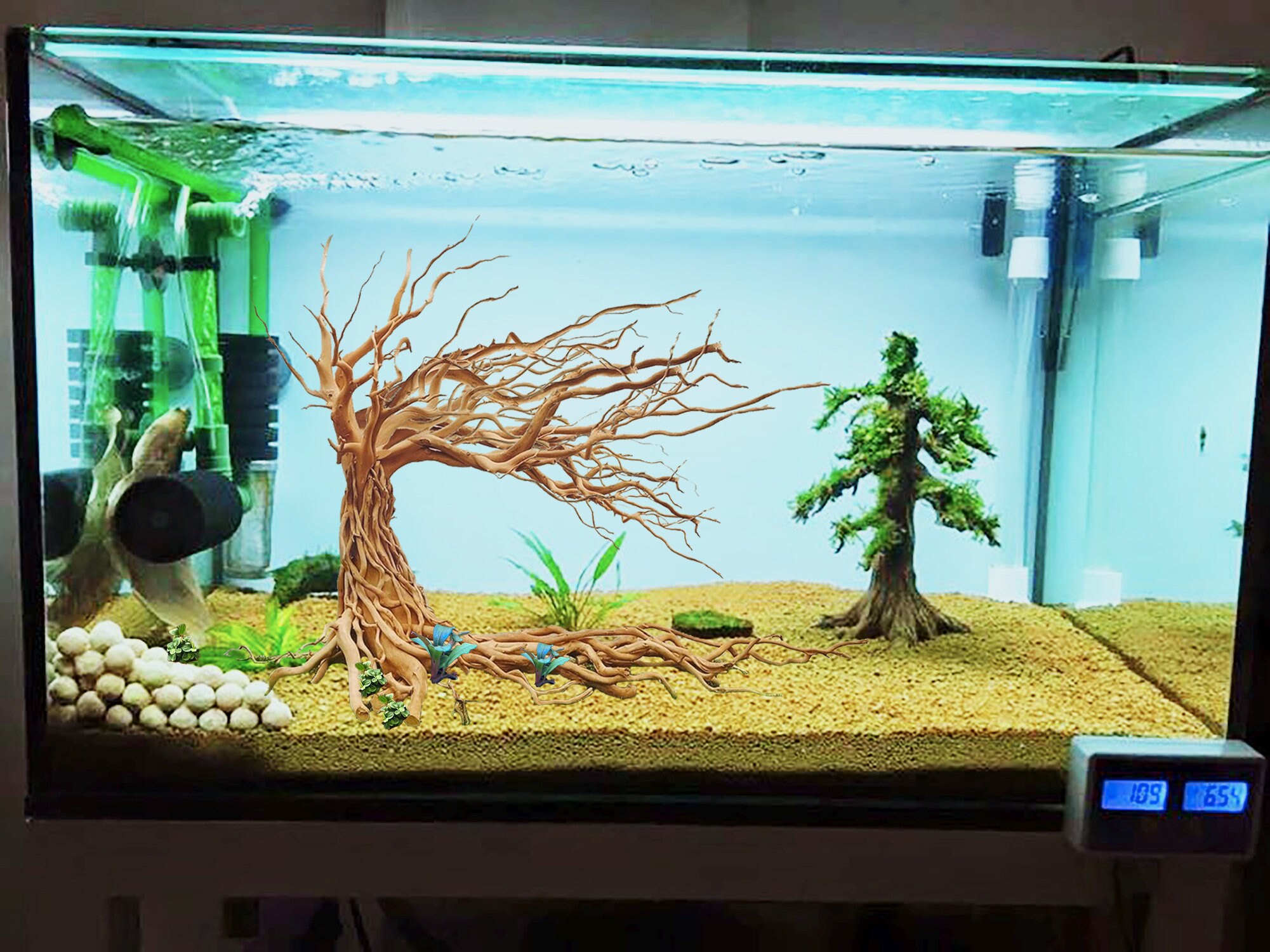 Bonsai Driftwood Aquarium Tree Aquascaping Plants Natural Etsy