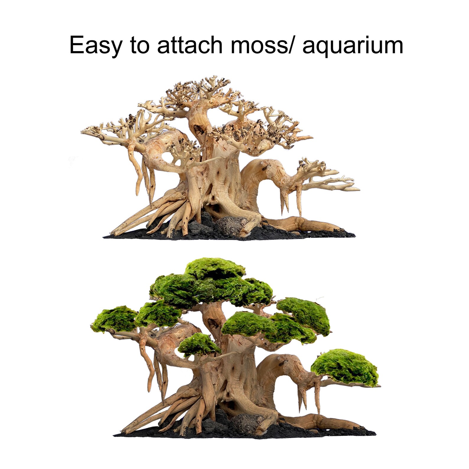 Aquarium Bonsai Tree Aquascape Driftwood for Fish Tank Decor Etsy