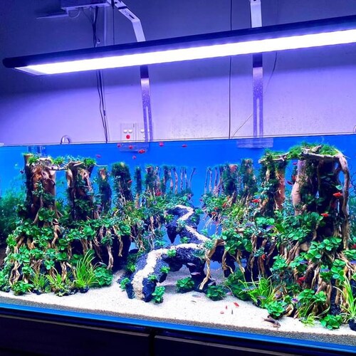 andis chrome comb attachments