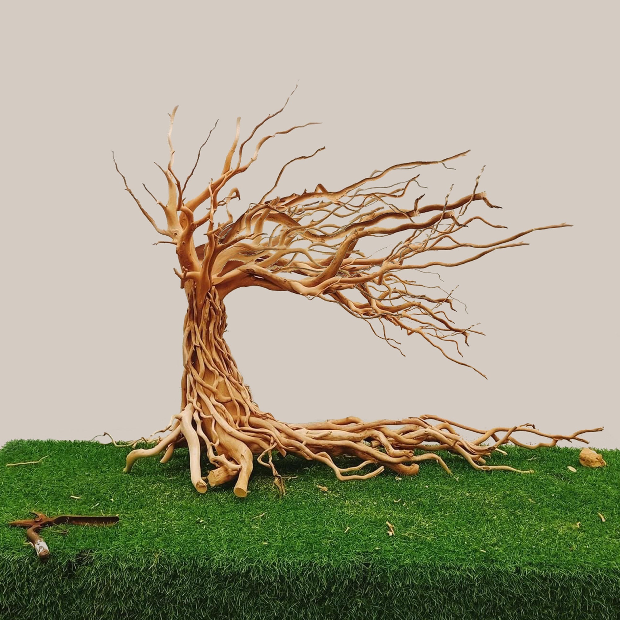 Bonsai Driftwood Aquarium Tree Aquascaping Plants Natural Etsy