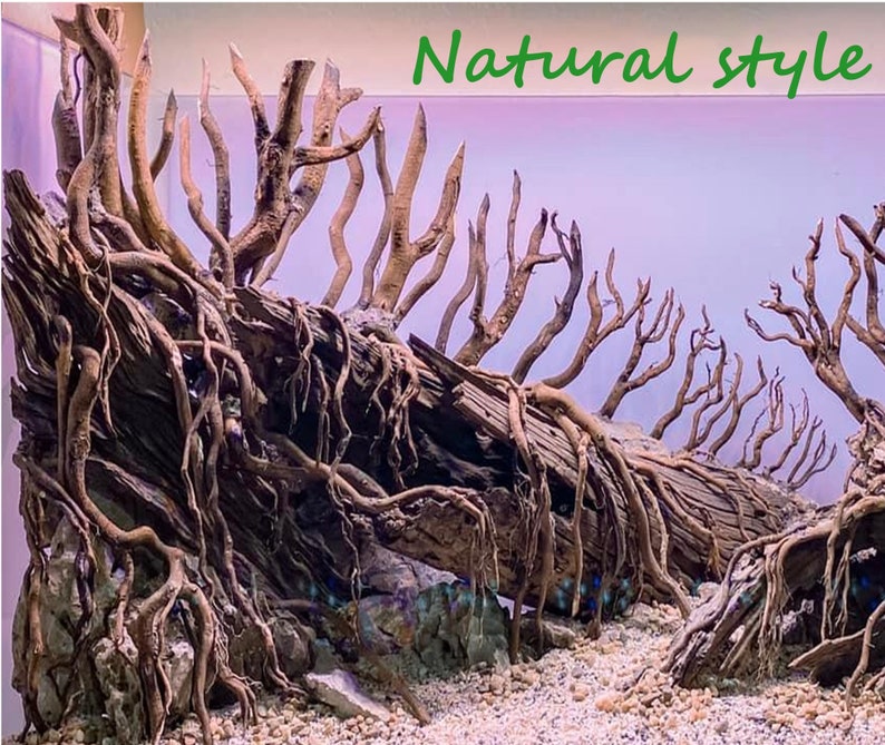 Aquascaping Driftwood Freshwater Aquarium Bonsai Tree With Etsy