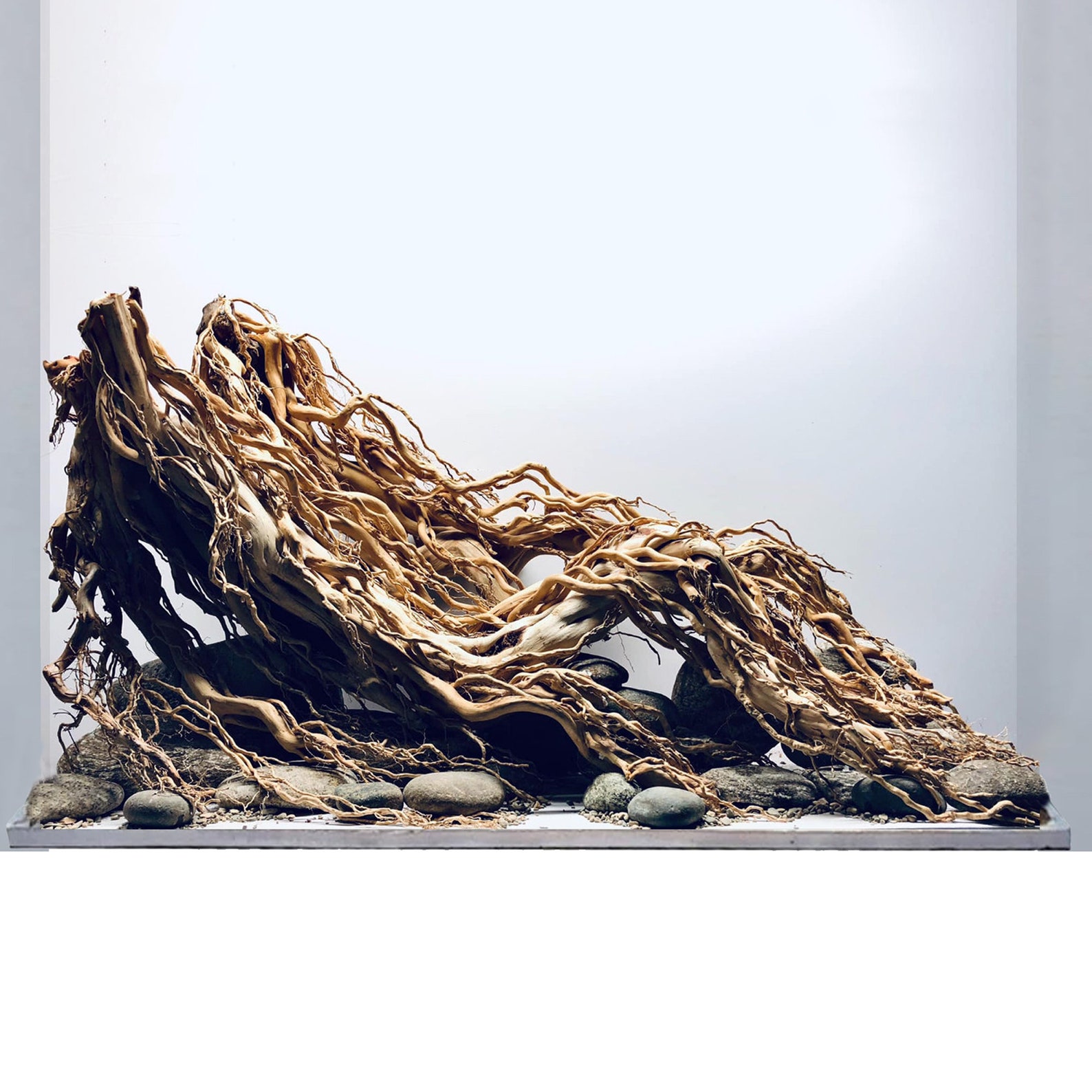 Drift Wood Aquarium Aquascape Bonsai Driftwood for Fish Tank Etsy