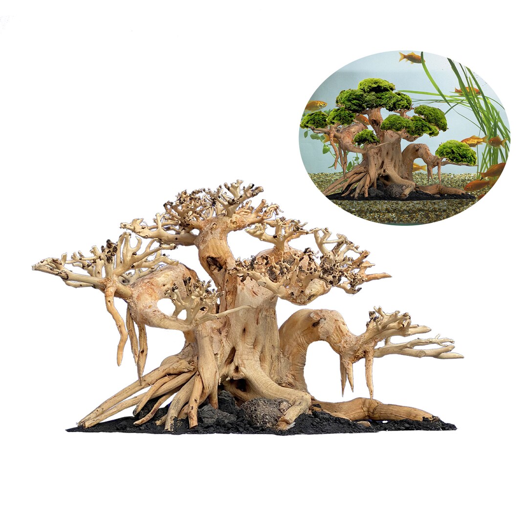 Aquarium Bonsai Tree Aquascape Driftwood for Fish Tank Decor, Large Driftwood Bonsai Tree, Free