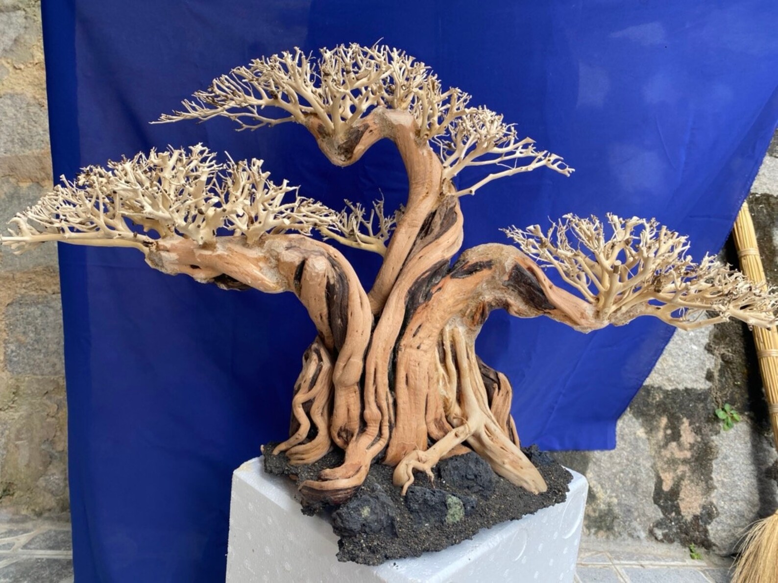 Aquarium Driftwood Extra Large Driftwood Aquarium Bonsai Etsy