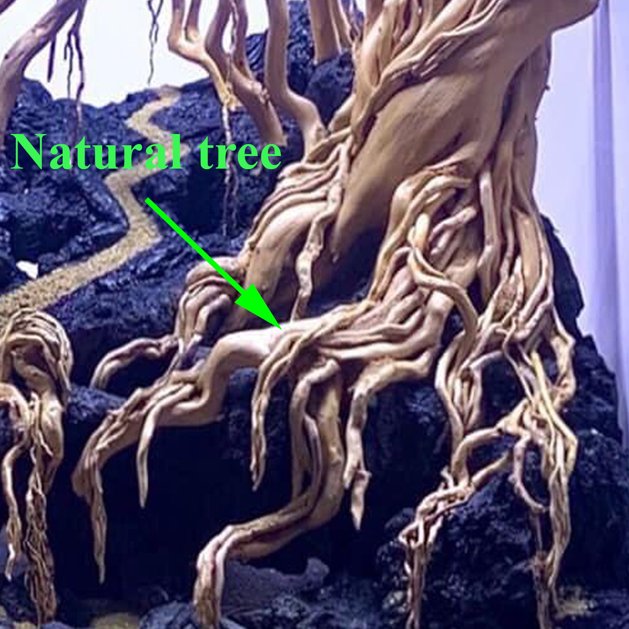 Aquascape wood Aquarium driftwood driftwood aquarium plants Etsy