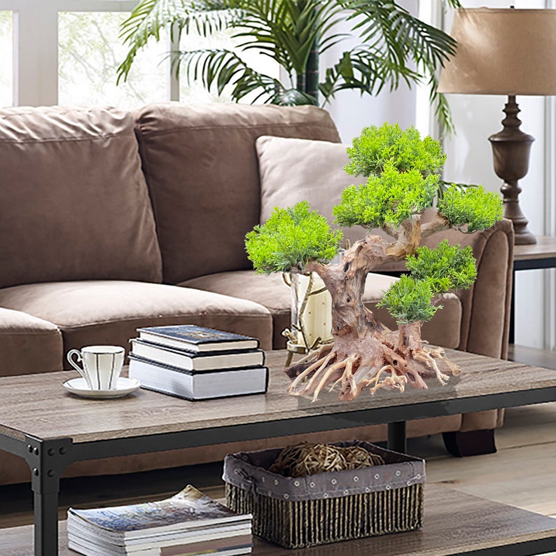 Aquarium Driftwood Bonsai Tree Bonsai Wood for Aquarium Etsy