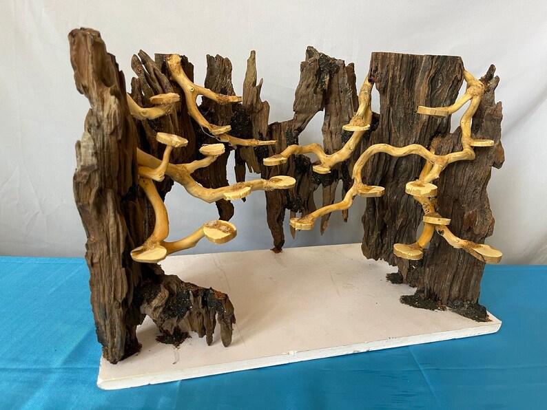 Bonsai Aquarium Driftwood Large Aquascape Drift Wood Hardscape Etsy