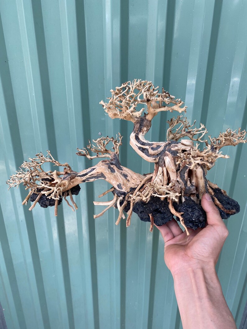 AQUARIUM BONSAI TREE Fish Tank Decor Aquarium Bonsai Etsy