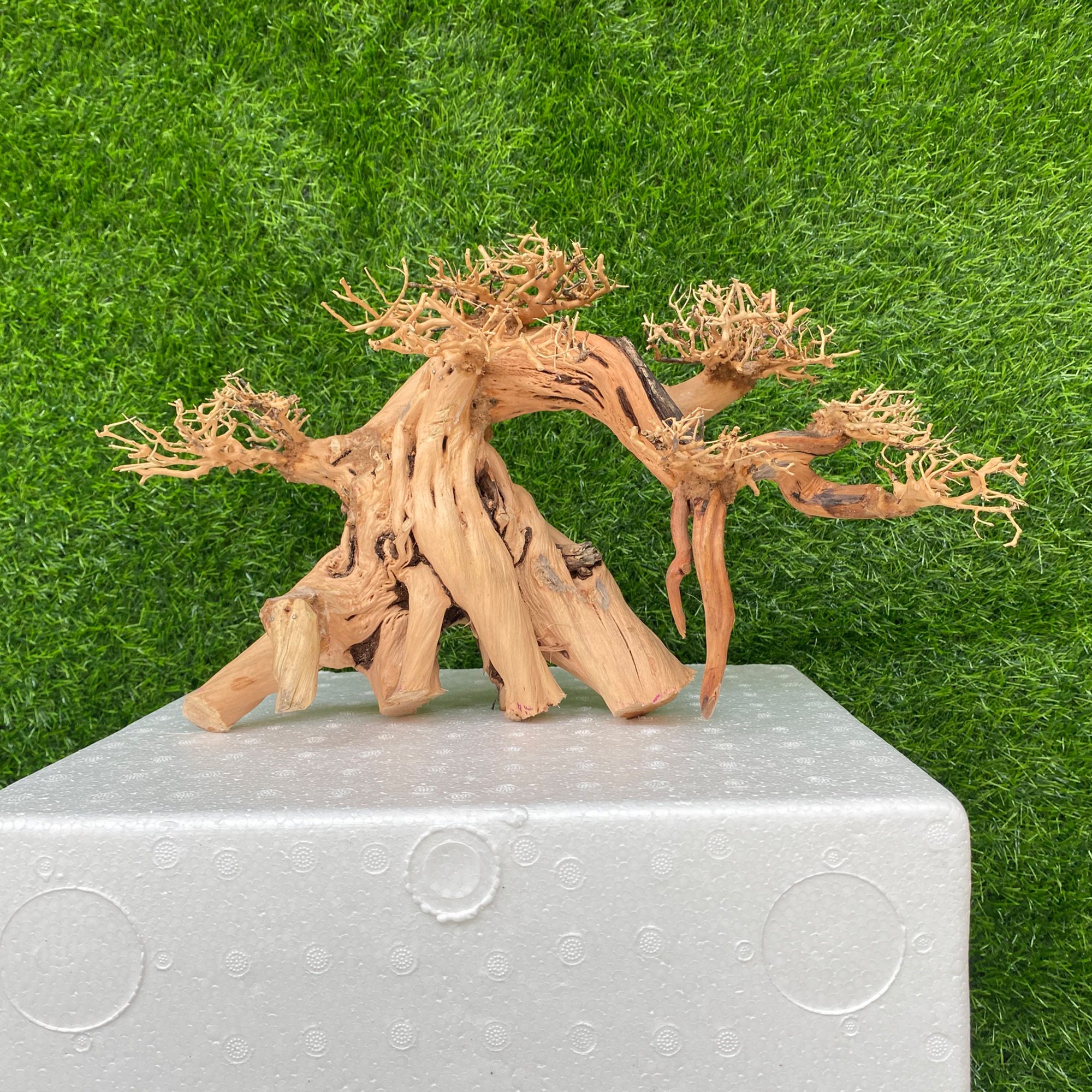 Aquarium Driftwood Extra Large Freshwater Aquarium Driftwood Etsy