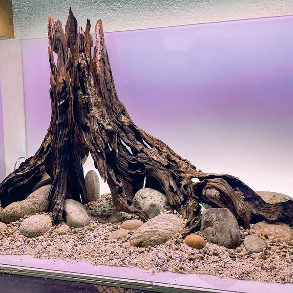 Aquarium Driftwood Etsy