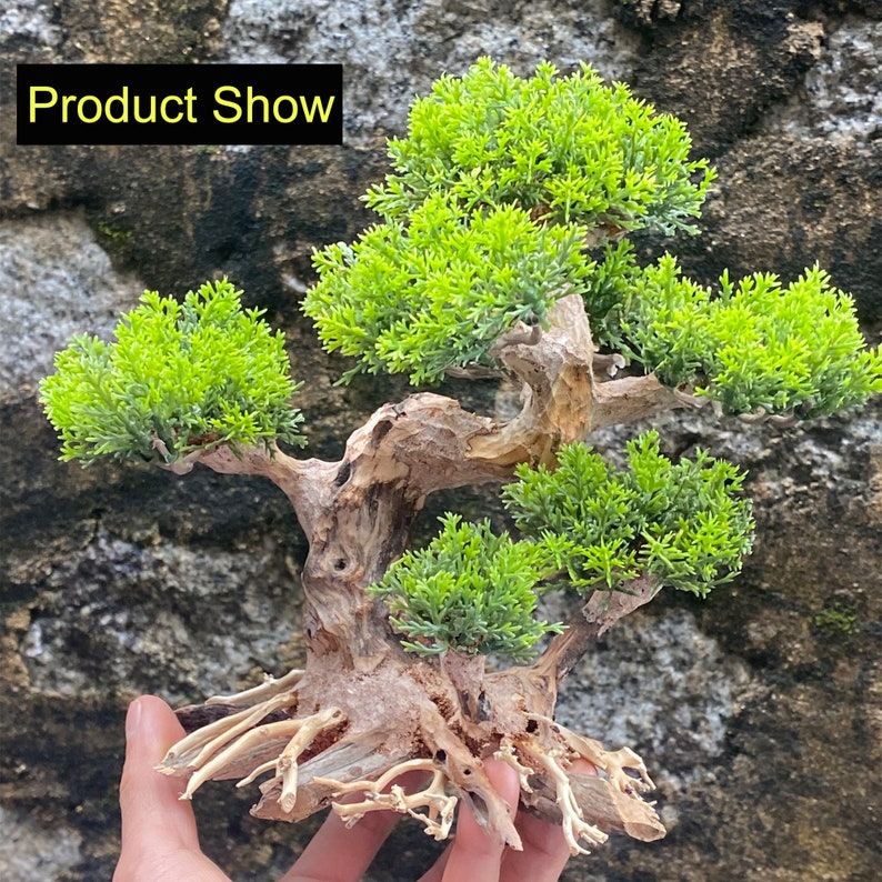 Aquarium Driftwood Bonsai Tree Bonsai Wood for Aquarium Etsy