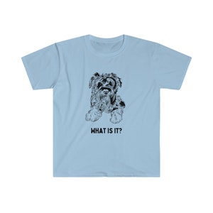 May include: A light blue t-shirt with a black and white illustration of a dog. The text "WHAT IS IT?" is printed below the image.